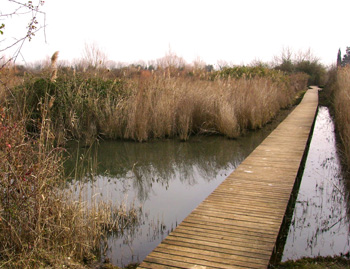 lago-di-fogliano-passeggiata-latinamipiace