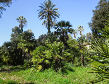 orto-botanico-del-lago-di-fogliano
