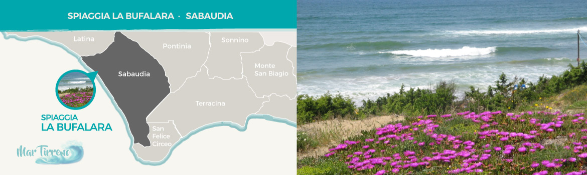 spiaggia-la-bufalara-sabaudia-provincia-di-latina-latinamipiace