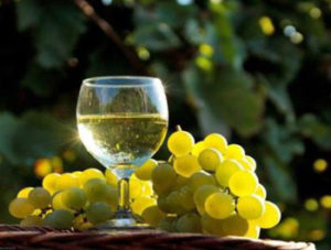 vino-moscato-di-terracina-latinamipiace