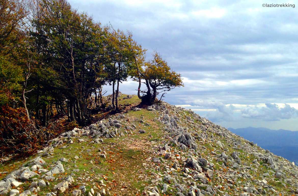 Monte-Semprevisa-Trekking-ed-Escursioni-città-di-Latina-latinamipiace