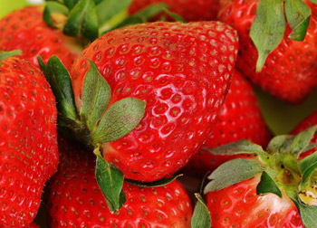 latinamipiace-prodotti-tipici-Fragole-Favette-di-Terracina